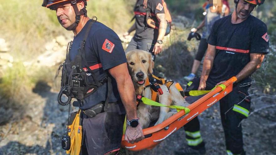 Els bombers rescaten un gos a Serra Gelada perquè no podia continuar la travessa per cansament