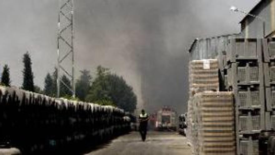 Arde una aceitunera en la carretera de Badajoz