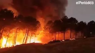 El incendio de Las Hurdes afecta al menos a tres viviendas en Avellanar