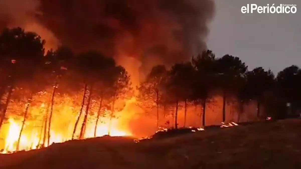 El incendio de Las Hurdes calcina tres viviendas en Avellanar