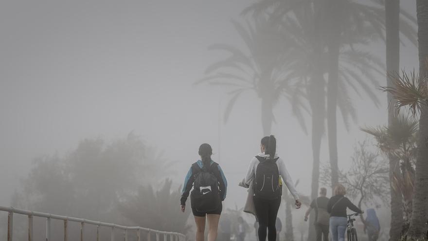 Niebla en Mallorca en pleno invierno