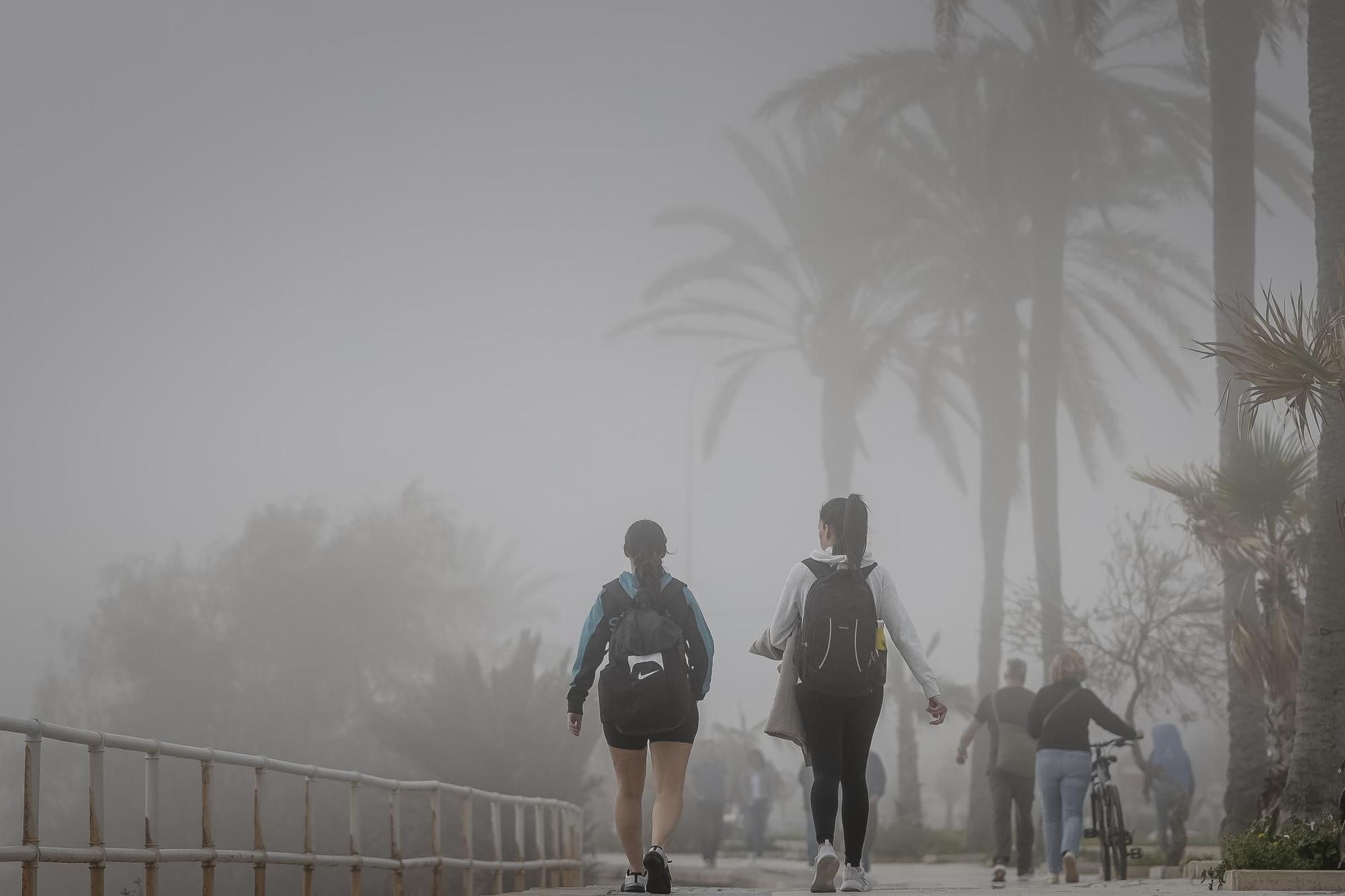 Niebla en Mallorca en pleno invierno