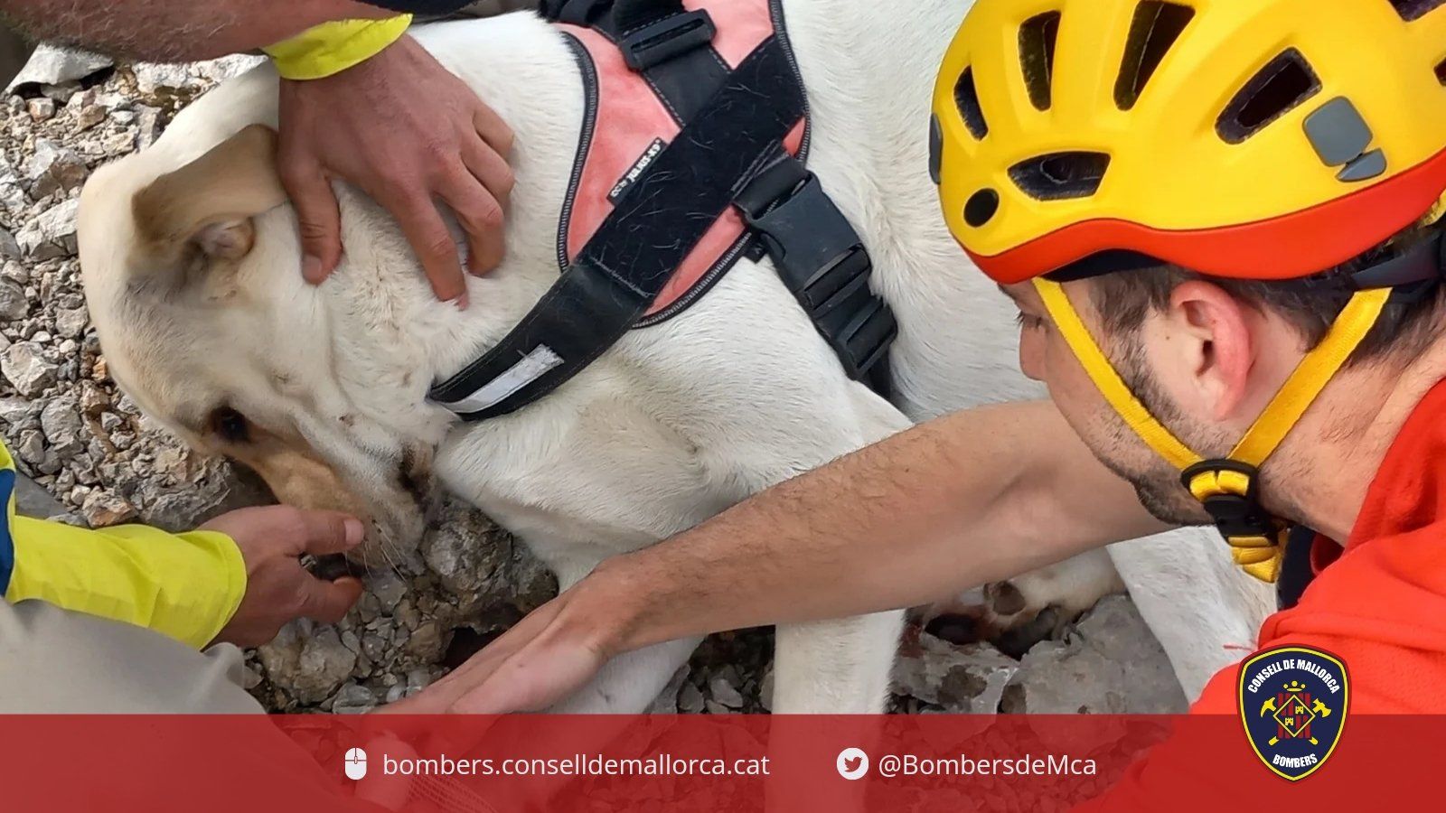 Rescatadas dos personas y un perro labrador en la Serra de Tramuntana