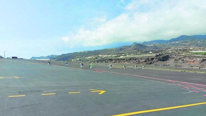 Operarios limpian una zona no operativa del aeropuerto palmero. | | E.D.