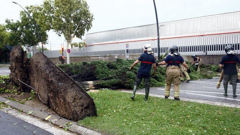 Fuerte tormenta en Zaragoza