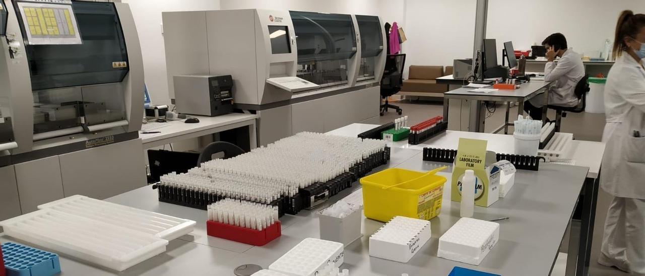 Muestras de realización de PCR.