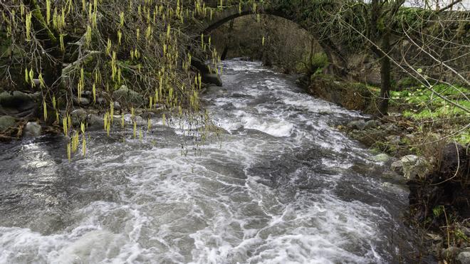 Fotogalería | Crecida del río Ambroz a su paso por Hervás