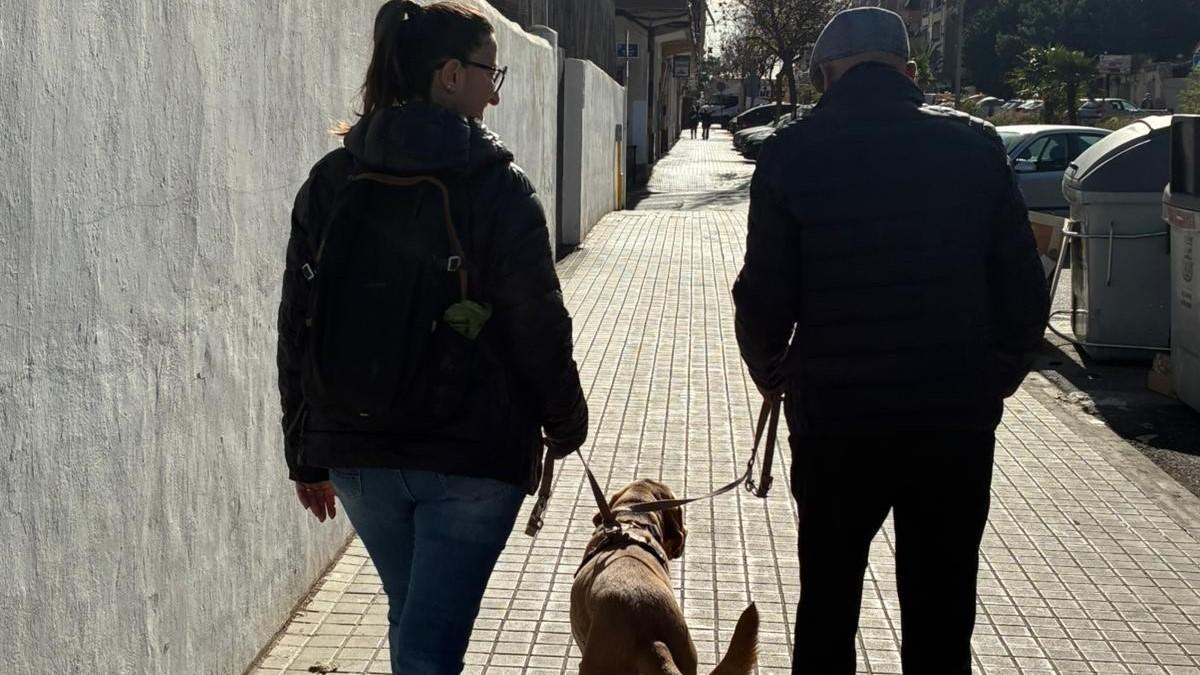 Acompañamiento con perro terapia a mayores.