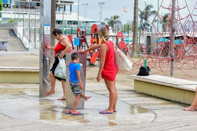 Dia del Pino en la Playa de Las Alcaravaneras