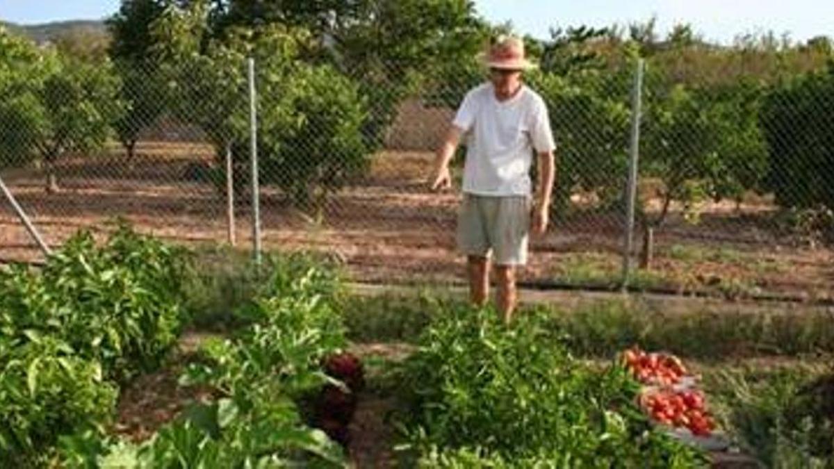 Agricultura de producción ecológica.