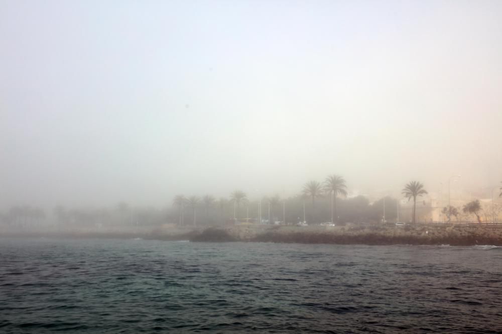 Palma im Nebel