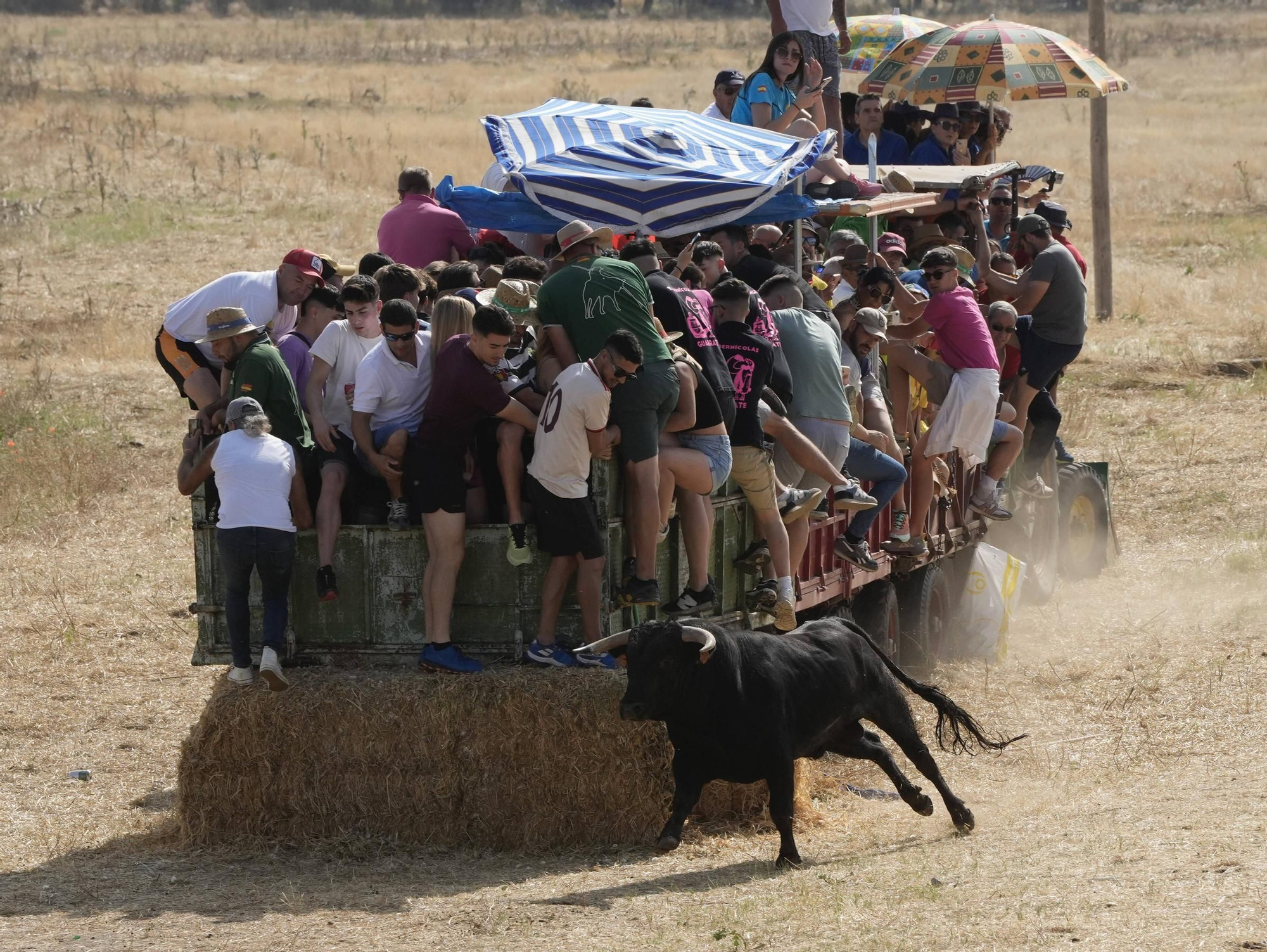 GALERÍA | Multitudinario encierro en la pradera de Guarrate