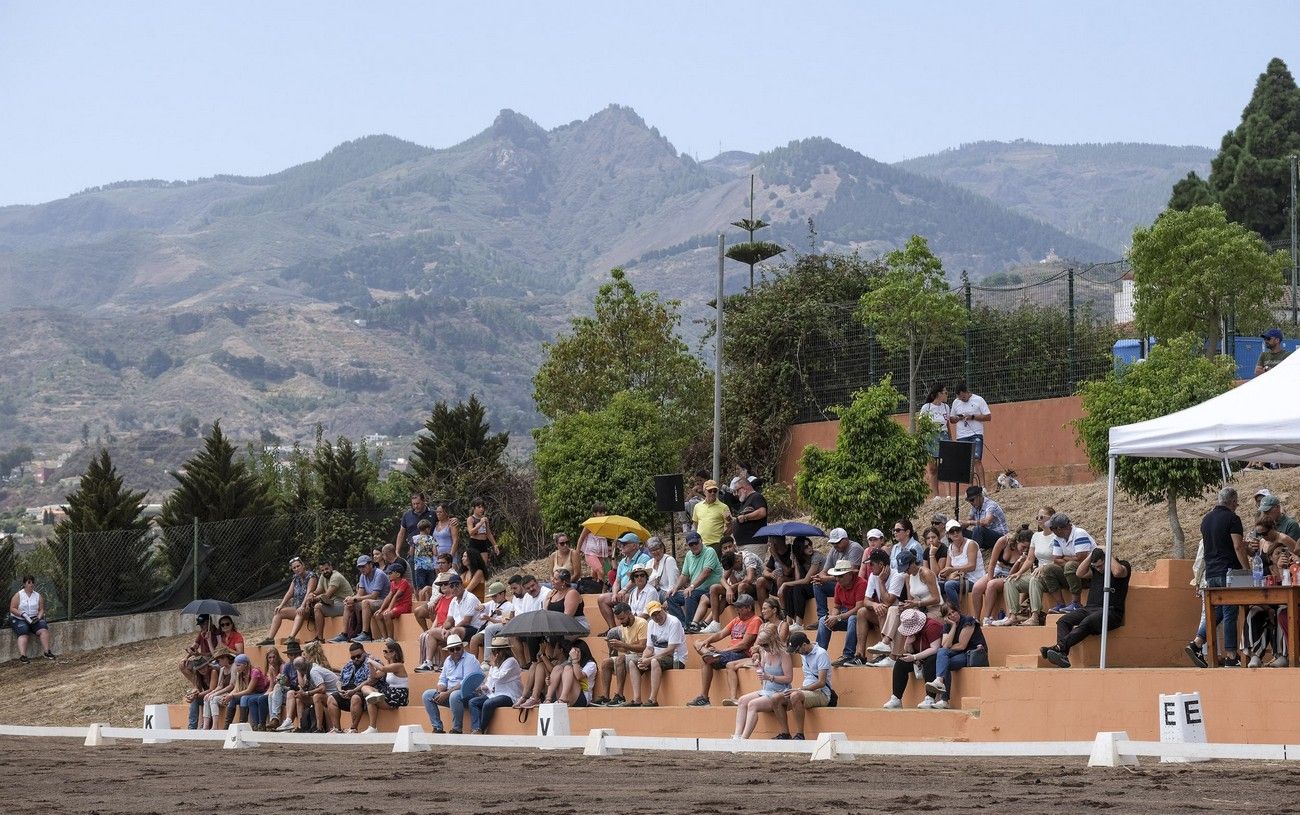 Pino Santo Alto celebra el Día del Caballo