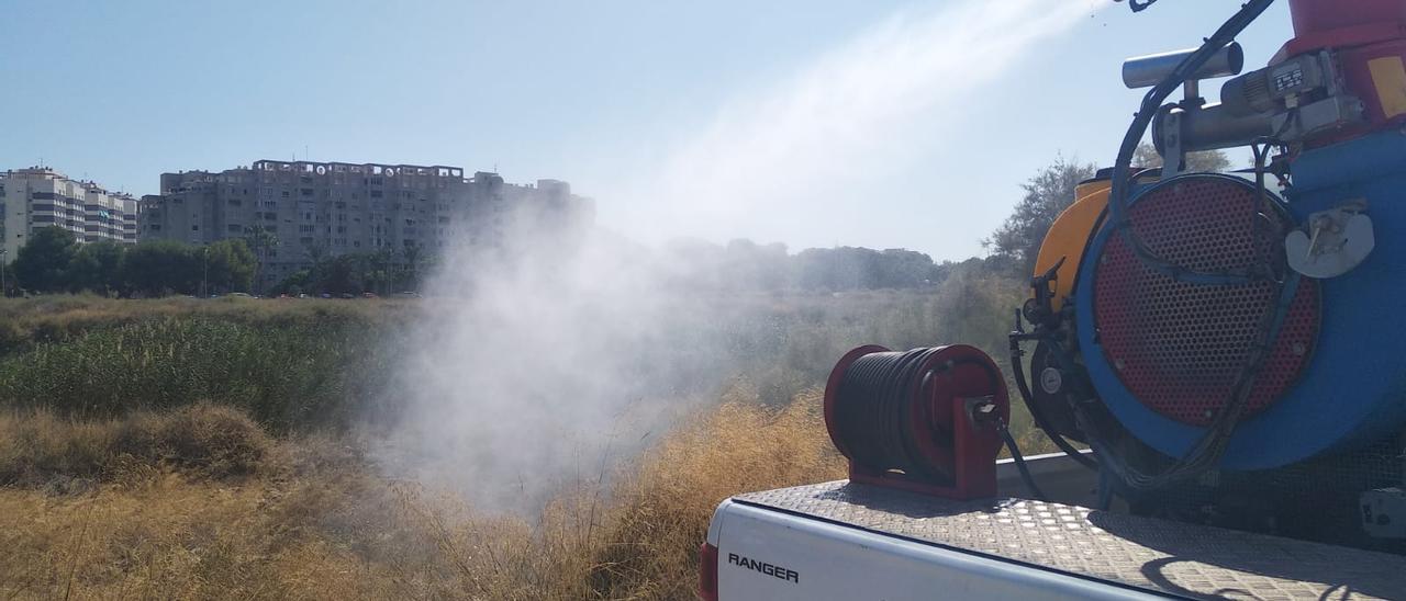 Tratamiento contra los mosquitos en El Campello