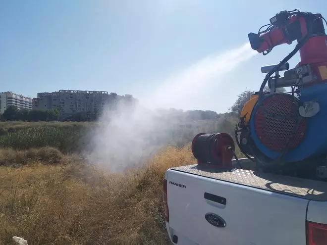 La campaña antimosquitos arranca este mes de mayo en El Campello y refuerza los tratamientos en diversas zonas