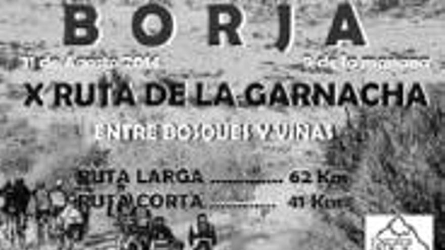 Diez años de la BTT Ruta de la Garnacha