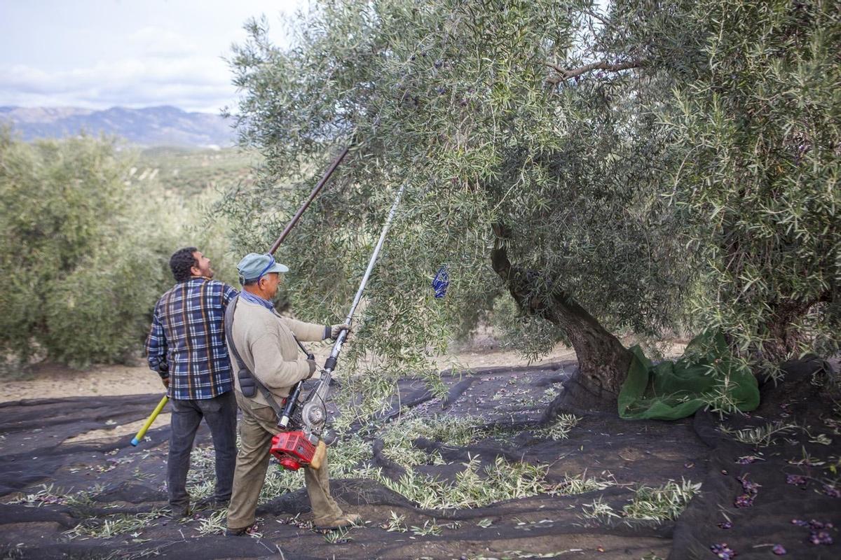 Agroturismo en Andalucía