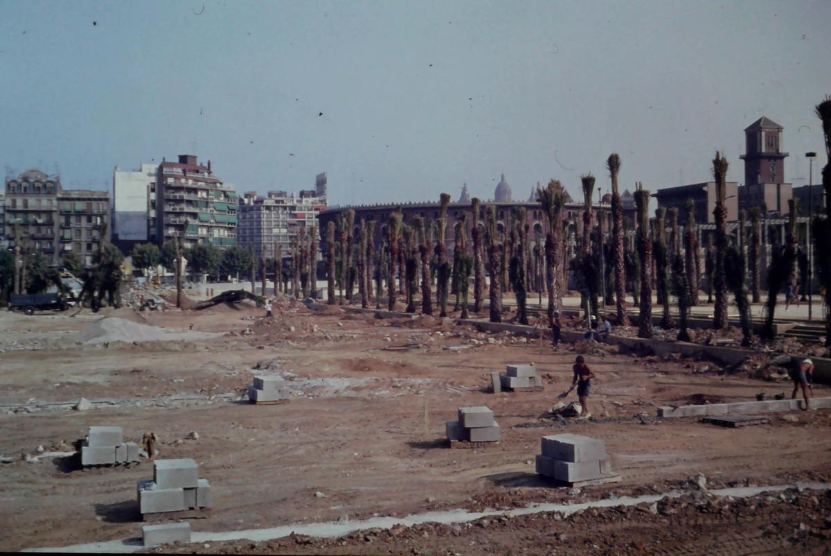 La fiebre de las palmeras de los 80, de la que el parque fue víctima.
