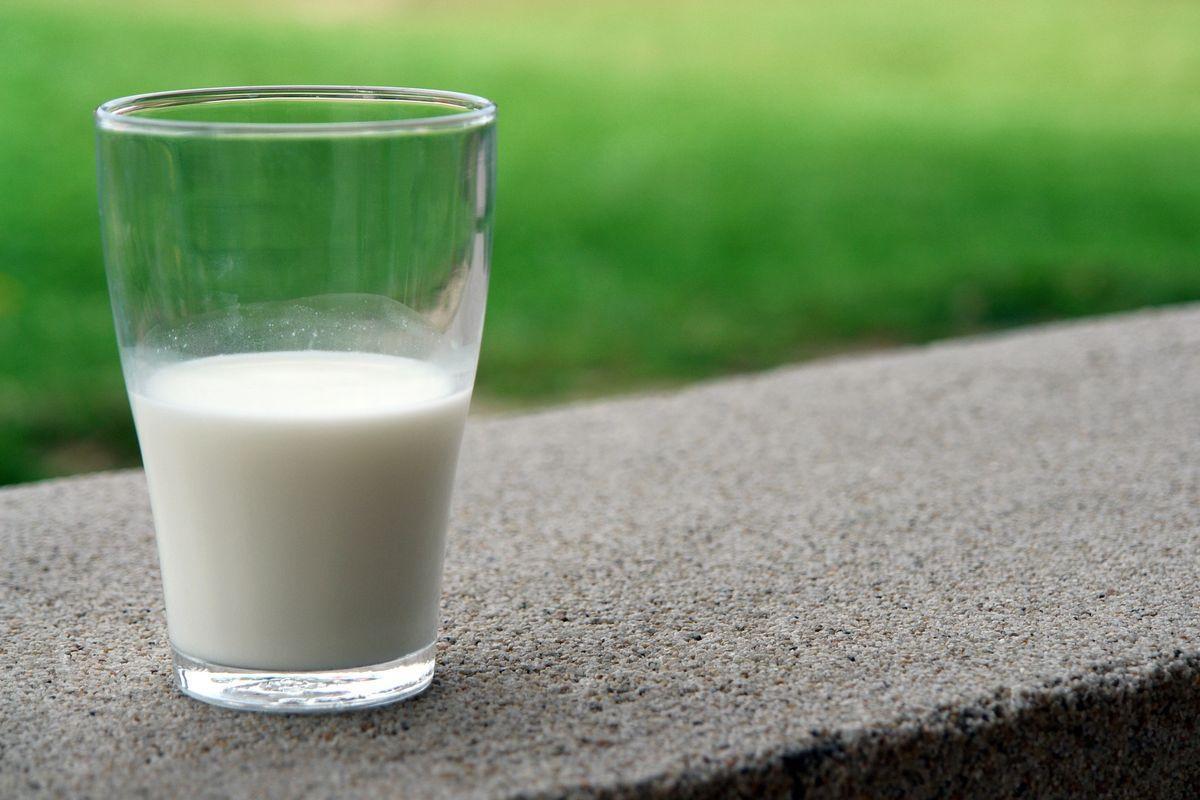 Un vaso de leche.