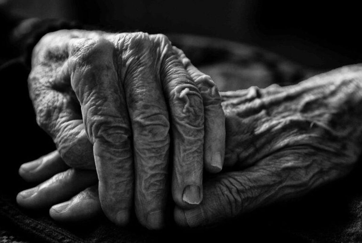 L’herència de l’Alzheimer L’herència de l’Alzheimer