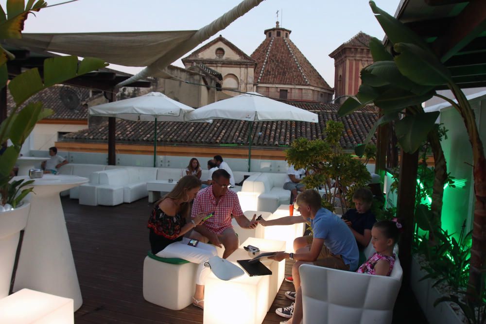 La Terraza Oasis, en la calle San Telmo.