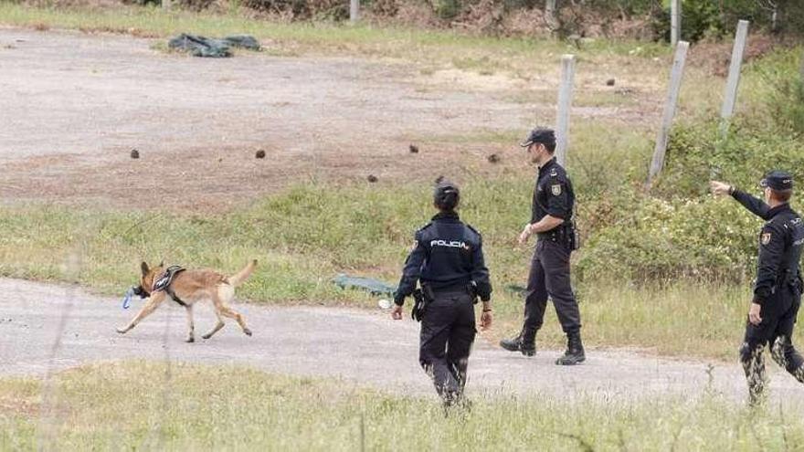 El perro de la Policía Nacional rastreó ayer Bemposta. // Brais Lorenzo