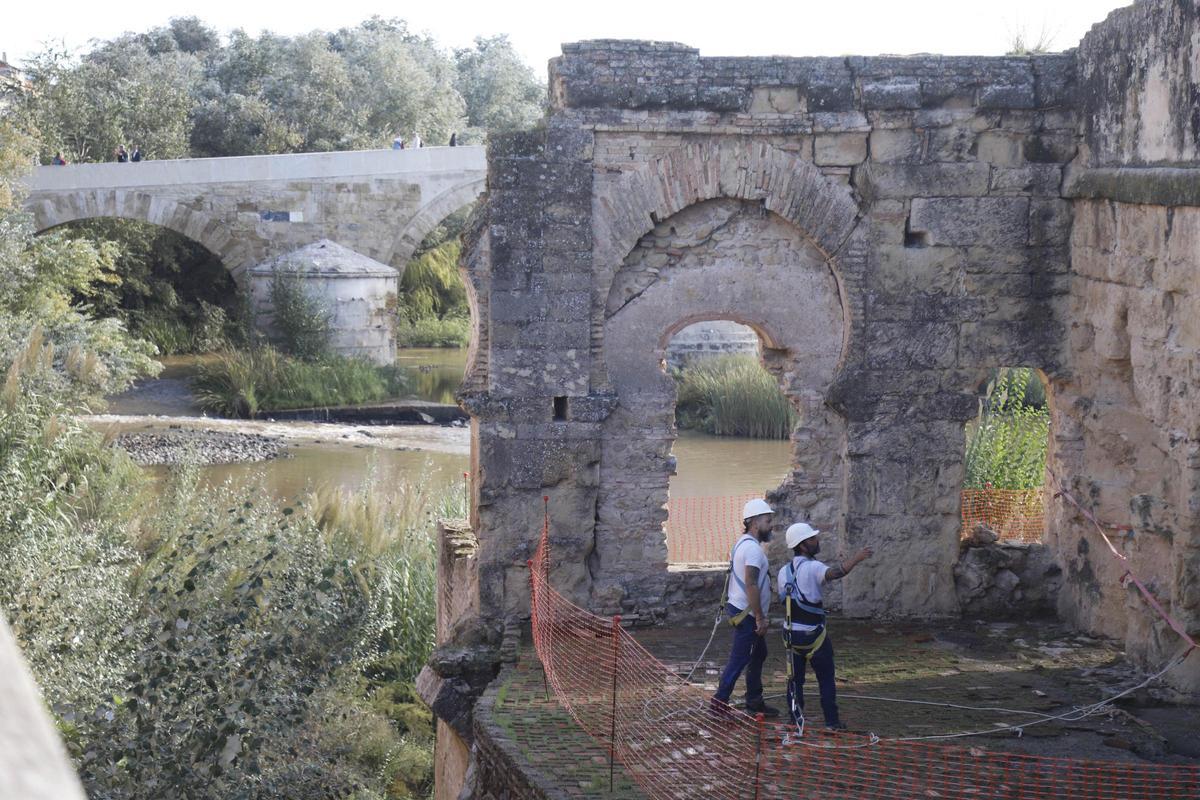 Molino de la Albolafia.