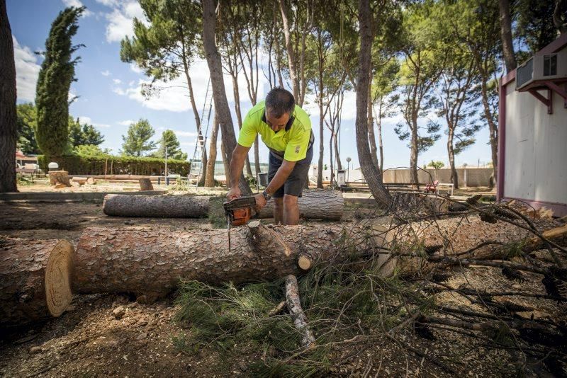 Efectos de la tormenta en Longares