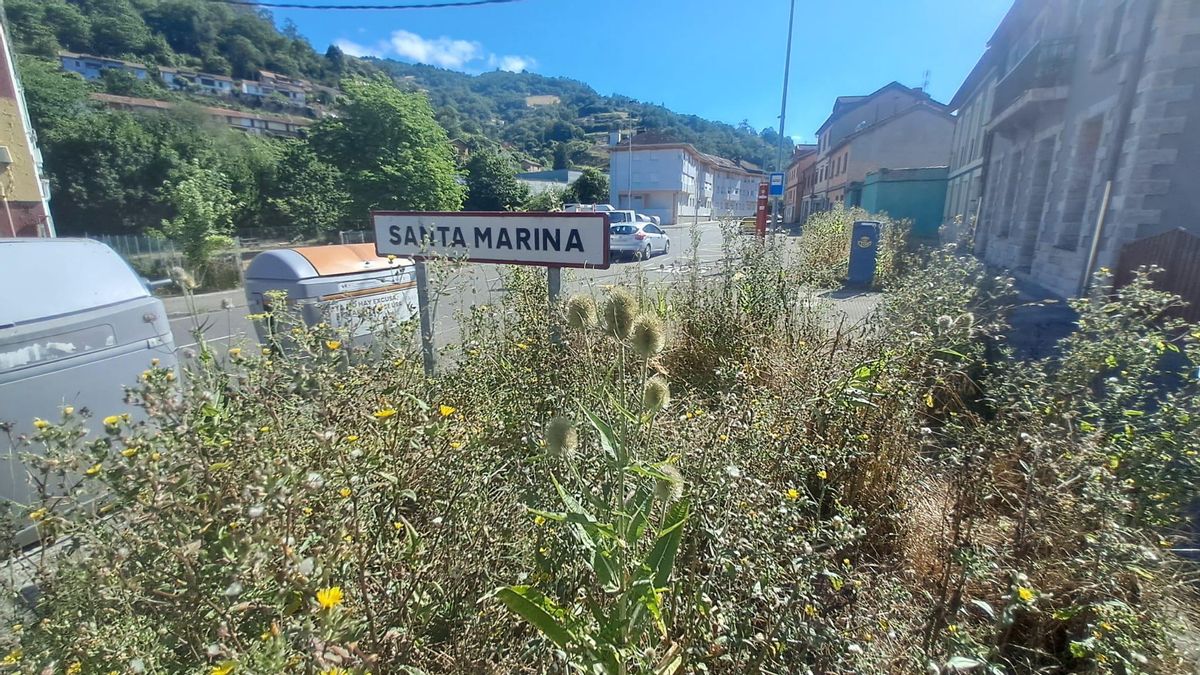 Maleza a la altura del barrio de Santa Marina.