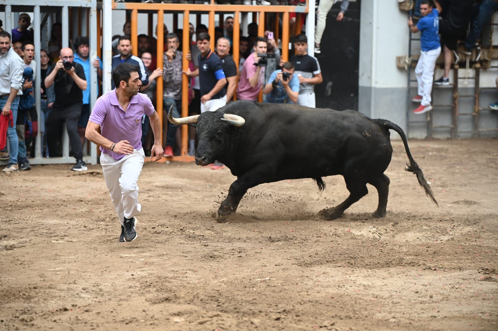 Las mejores fotos que ha dejado la tarde taurina del martes en las fiestas de Almassora 2022