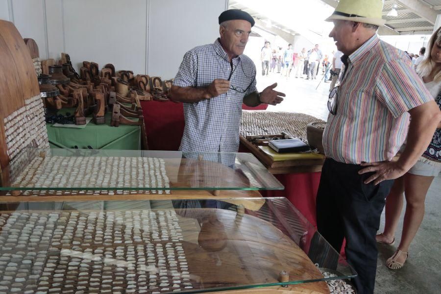 Fiesta de la Trashumancia en San Vitero