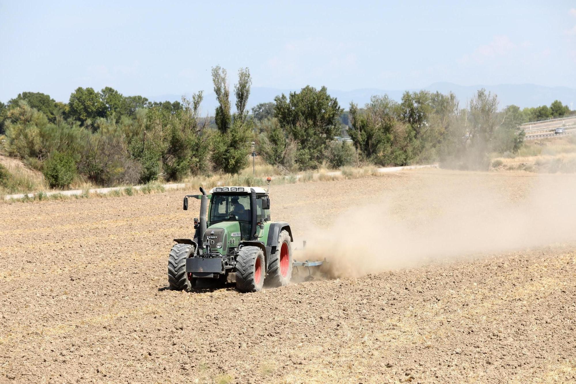 Los seguros agrarios cubren los daños causados por fenómenos ambientales como la sequía.