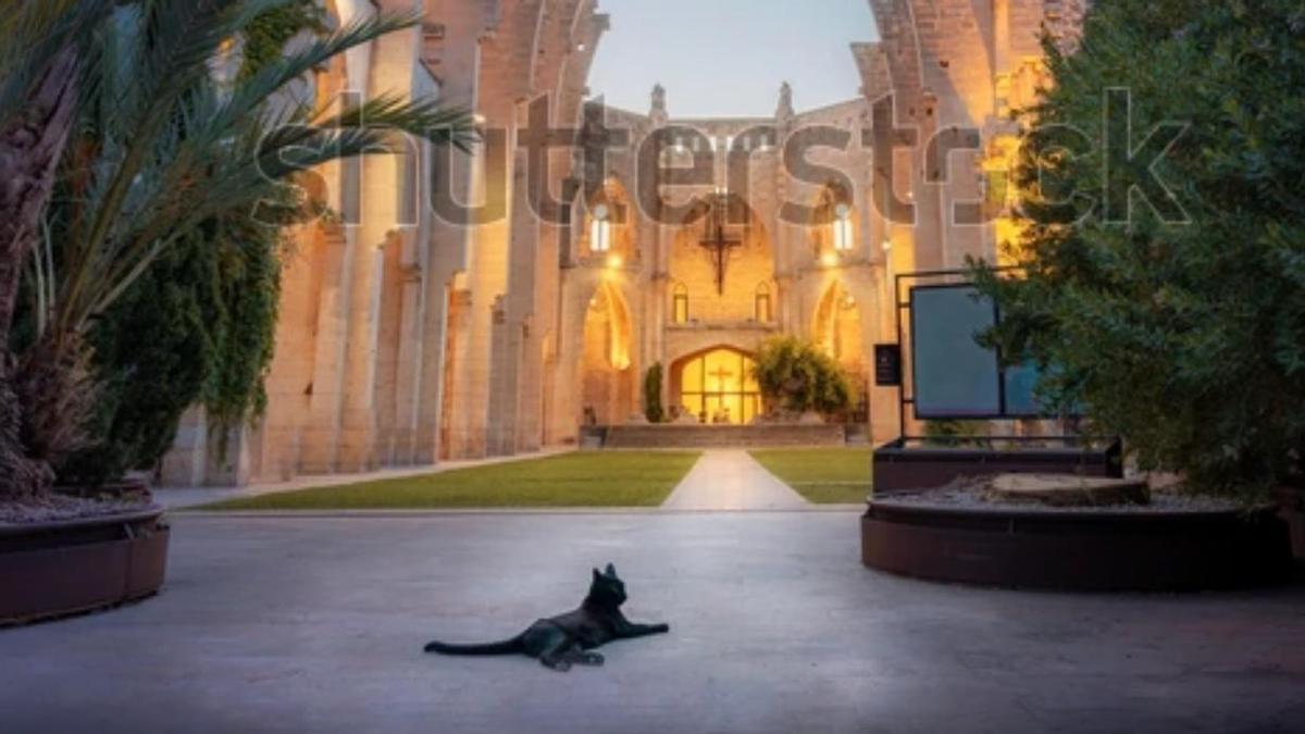 Panti aparece en la base de datos fotográfica de Shutterstock.