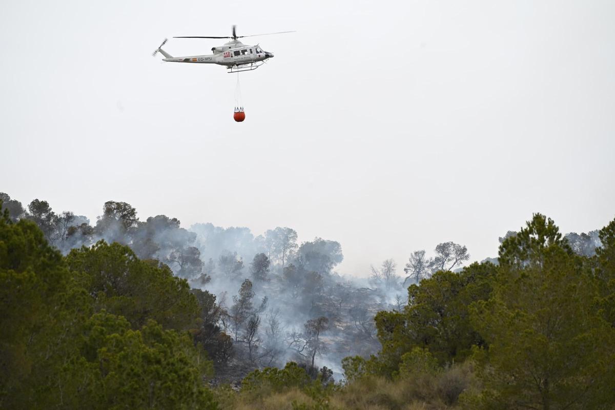 Fuego en Algueña: así está siendo el operativo para la extinción