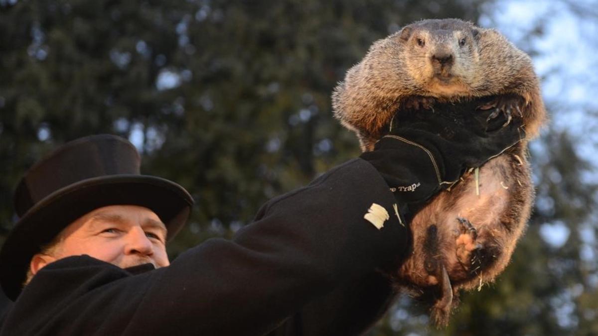 John Griffiths muestra la marmota Phil a la multitud reunida este jueves en Punxsutawney.