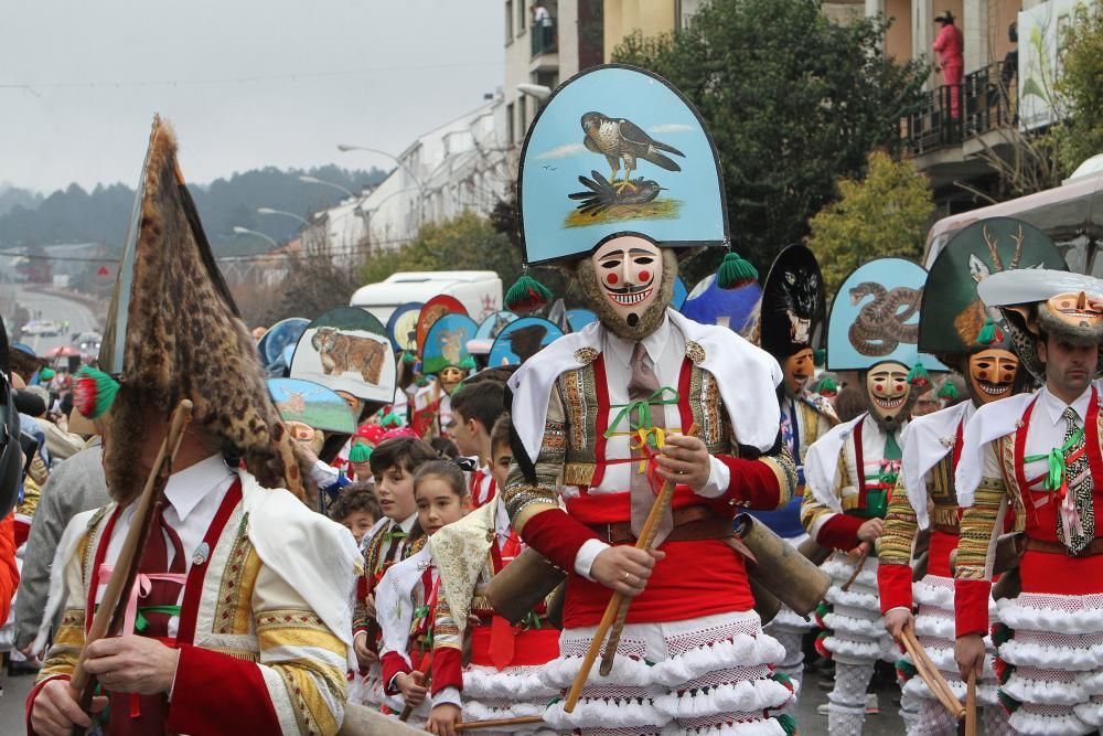 Entroido 2018 en Vigo | Concurso infantil