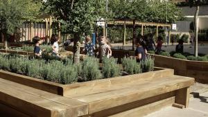 actuacin-en-una-escuela