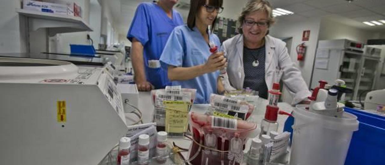 Los coordinadores de la Unidad de Hematología y una enfermera del banco de sangre del Hospital General.