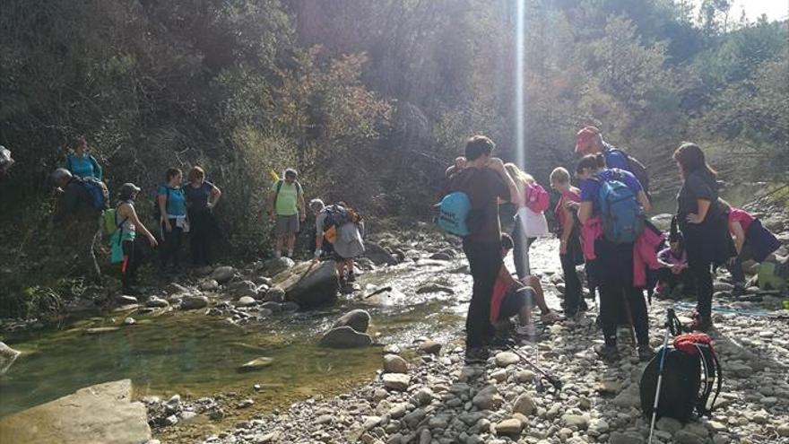 60 personas asisten a la ruta del madroño