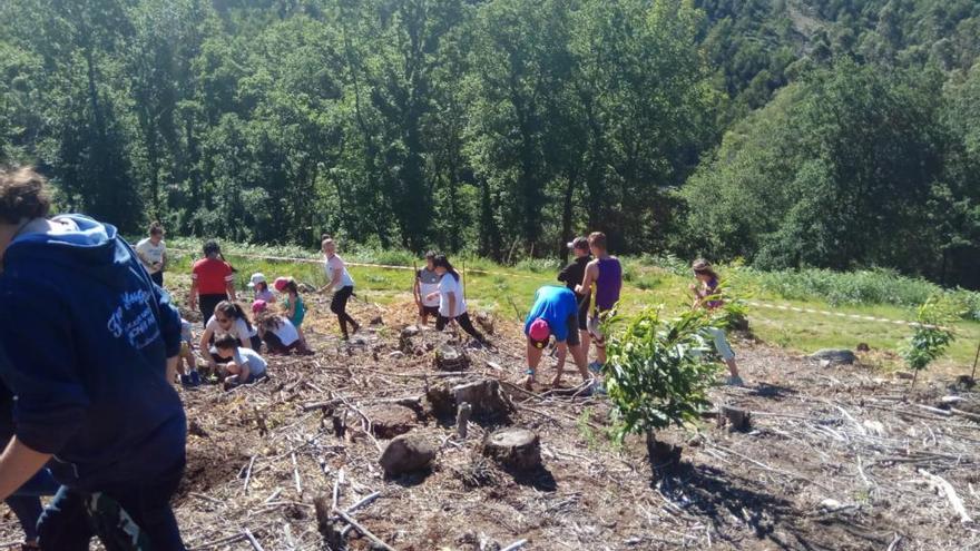 Un momento de la plantación.