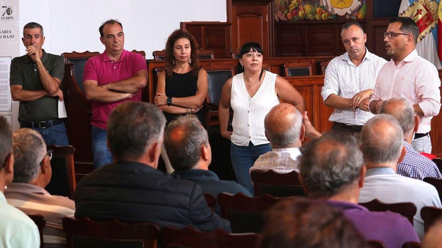 Tenerife Authorities Collaborate to Control Vine Pest Infestation