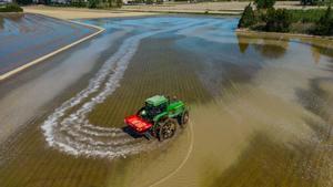Siembra del arroz en una parcela del delta de lEbre, en la primavera de 2023.
