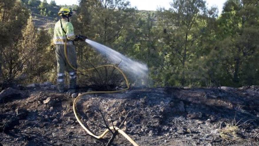 Un incendio intencionado quema 1,5 hectáreas de arbolado en l&#039;Alcúdia  de Crespins