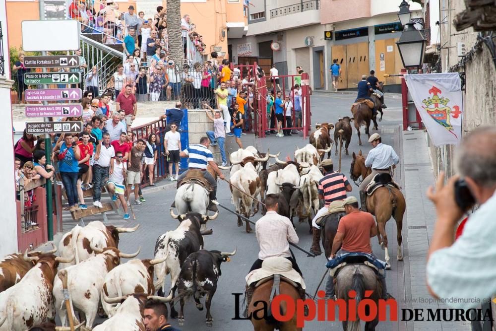 Último encierro en las Fiestas de Moratalla