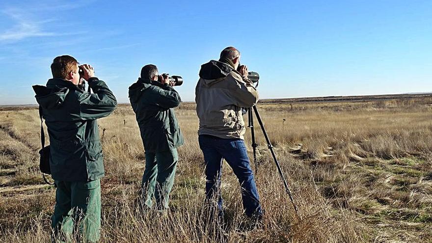 Observación de aves para la realización de los censos. | JCyL