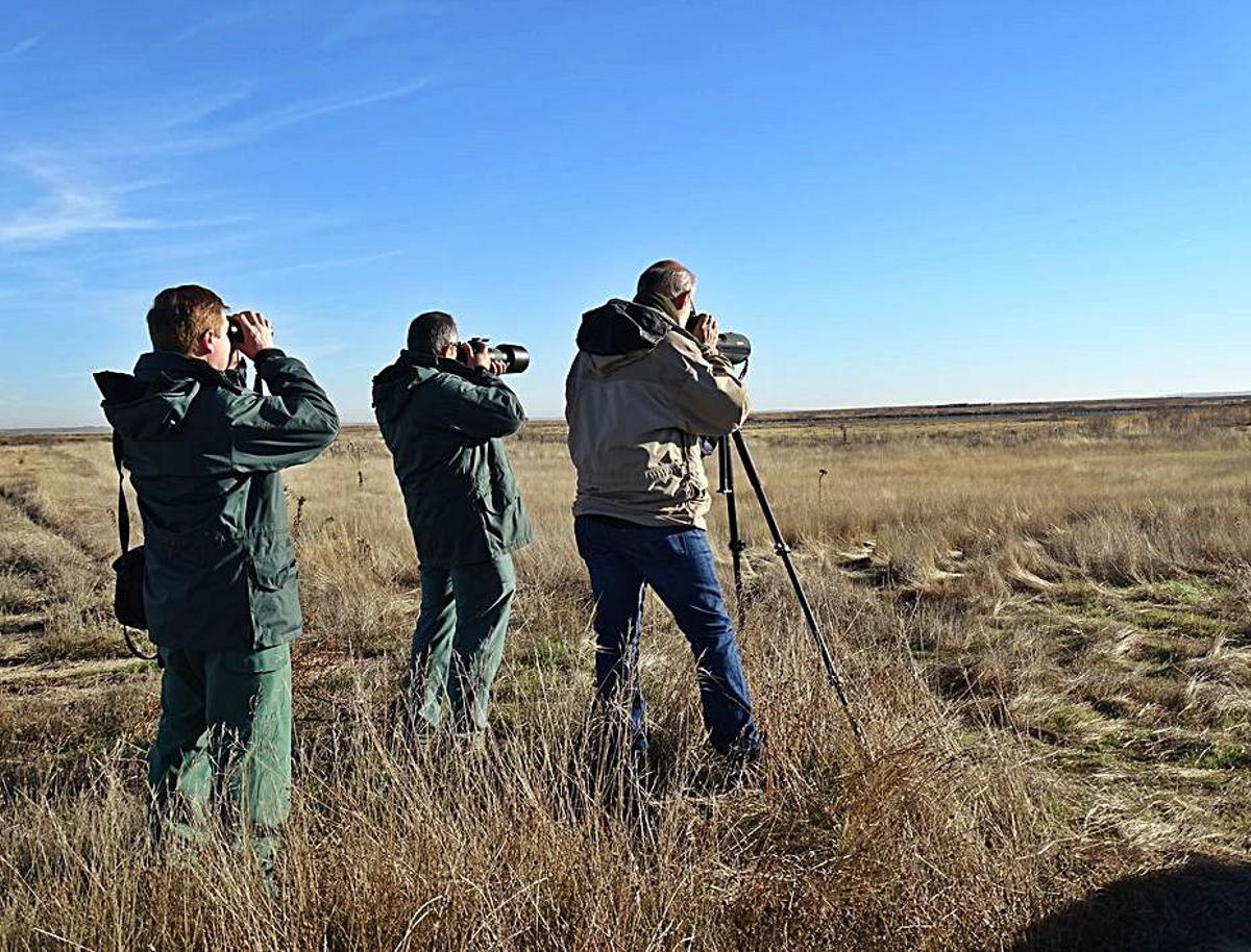 Observación de aves para la realización de los censos. | JCyL