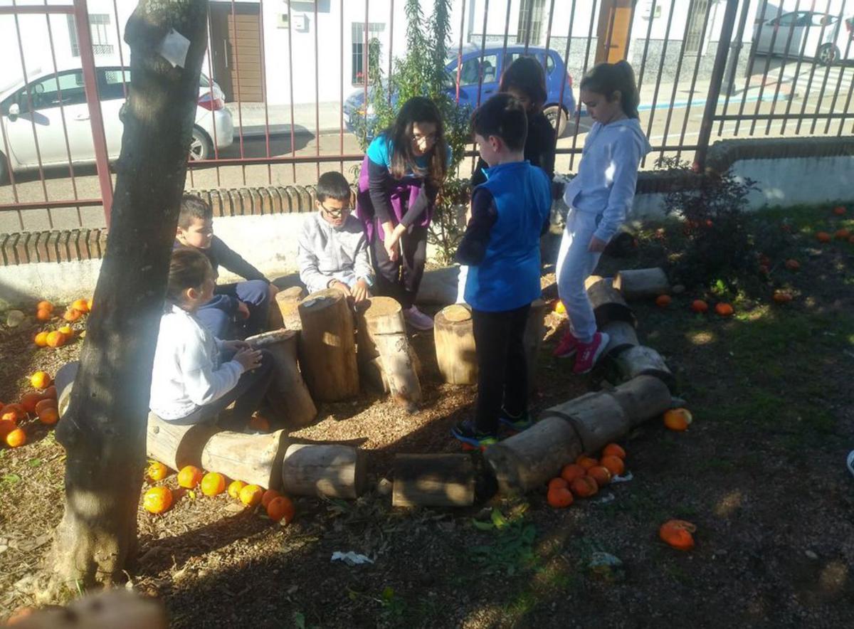 Estudiantes del CEIP Teresa de Comino, de Villafranca.