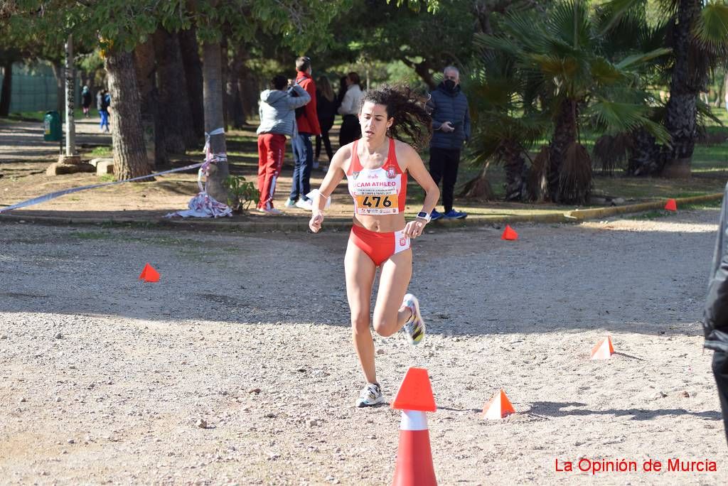 Copa de clubes de cross (I)