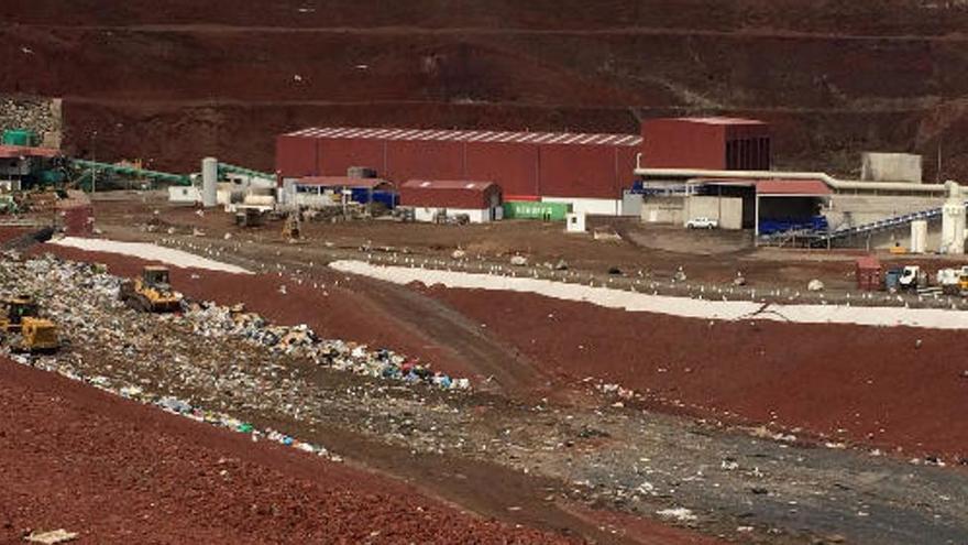 Unos operarios hallan un feto en una planta de residuos en Lanzarote