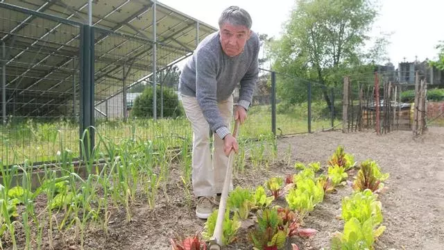 El huerto del geriátrico que ocupa y aporta «paz» a Laureano en Ourense